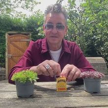 Load and play video in Gallery viewer, Coles Corner