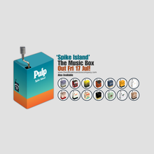 Load image into Gallery viewer, Spike Island
